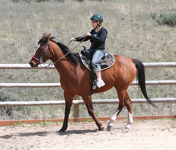 Horsewoman in Training