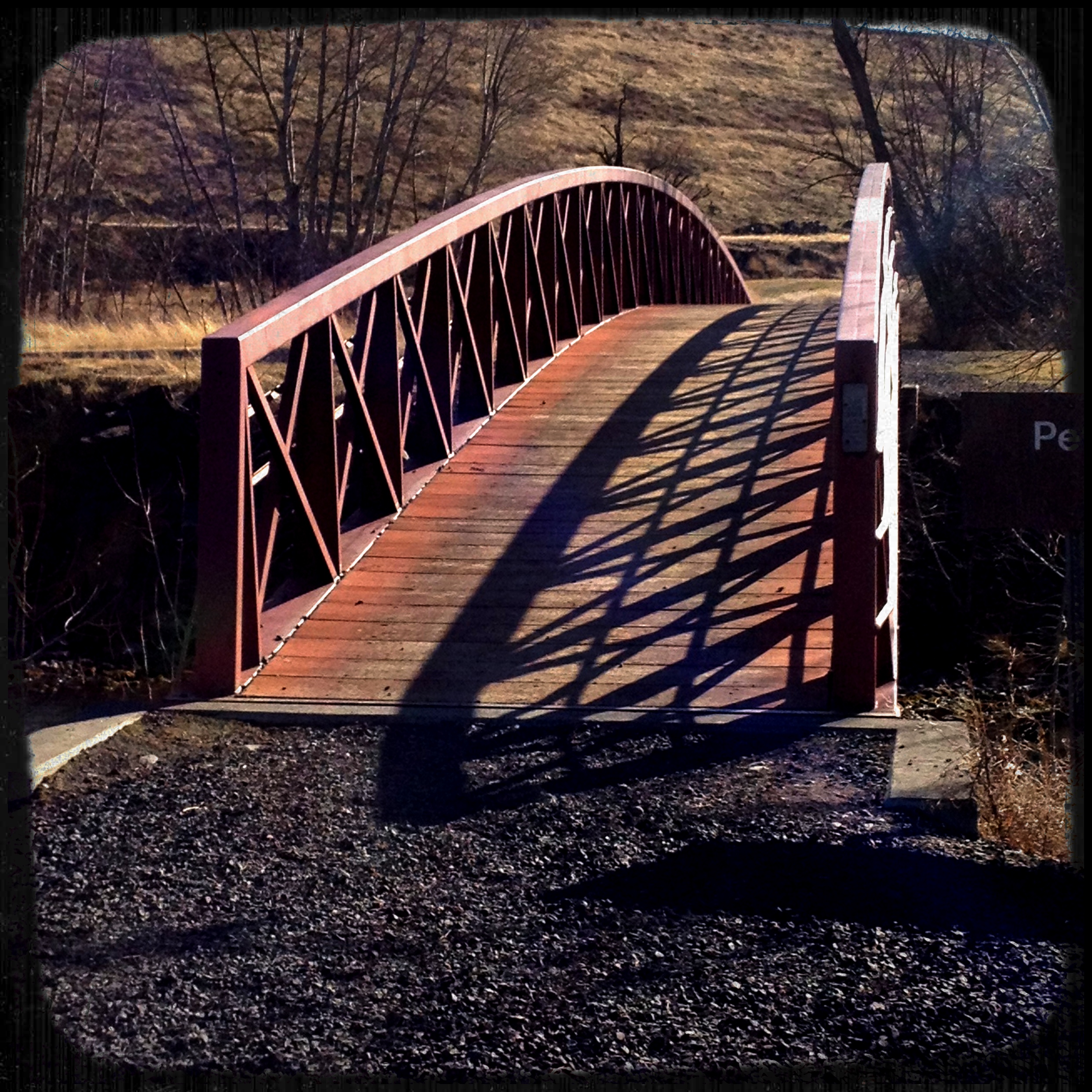 Wintry Walk