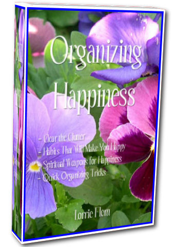 Organizing Happiness Review